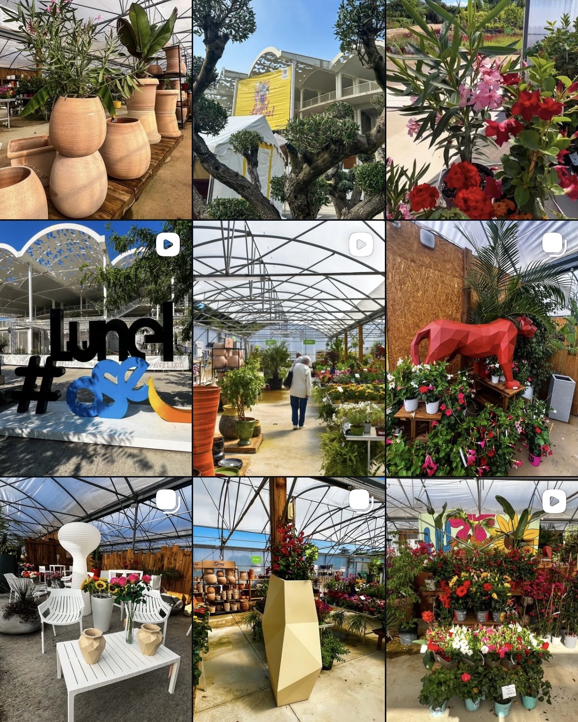 Feed Instagram Pepisud jardinerie Lunel géré par Southern Sales