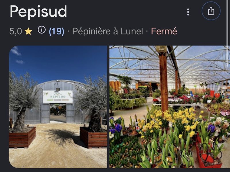 Fiche Google de Pepisud, pépinière à Lunel notée 5 étoiles